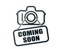 2019 Freightliner CA12564DC