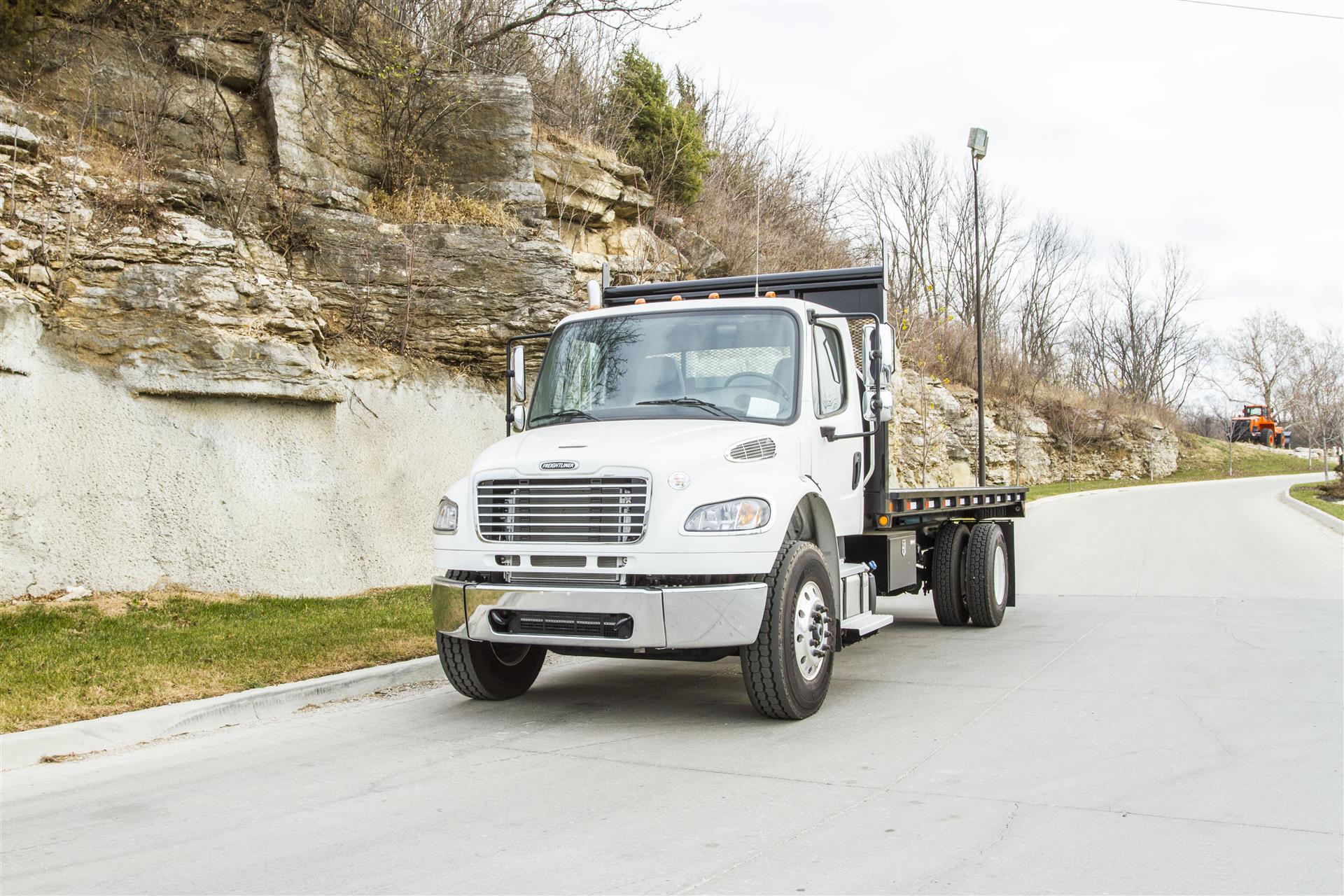 2017 Freightliner M2106