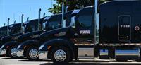 Used 2014 Peterbilt 579 for Sale