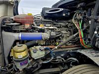 2020 Freightliner CASCADIA 126