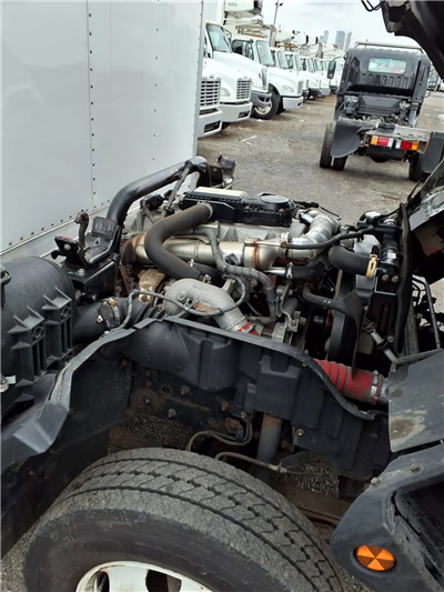 2019 Hino 155