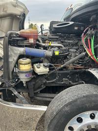 2019 Freightliner NEW CASCADIA PX12664
