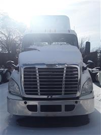 2014 Freightliner CASCADIA 113