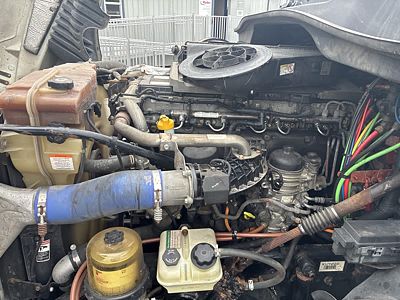 2019 Freightliner CASCADIA 125