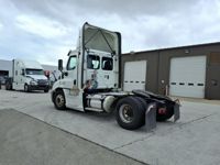 2019 Freightliner CASCADIA 113