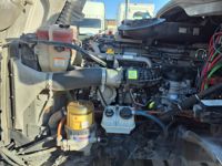 2019 Freightliner CASCADIA 125