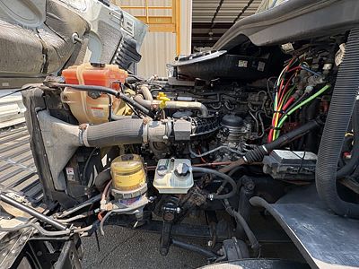 2019 Freightliner CASCADIA 125