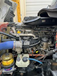 2019 Freightliner CASCADIA 125