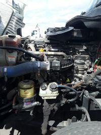 2019 Freightliner CASCADIA 125