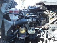 2019 Freightliner CASCADIA 125