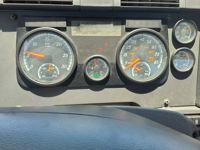 2019 Freightliner CASCADIA 113