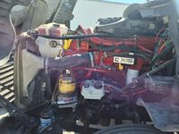 2019 Freightliner CASCADIA 125