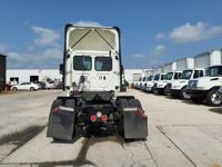 2019 Freightliner CASCADIA 113