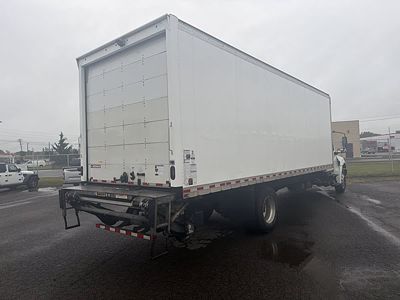 2023 International MV607