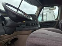 2019 Freightliner CASCADIA 113