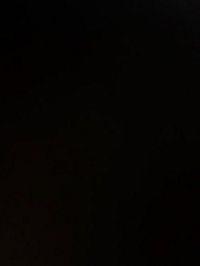 2014 Utility 4000DX 53/162/102