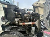 2020 Freightliner NEW CASCADIA PX12664