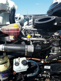 2019 Freightliner NEW CASCADIA PX12664