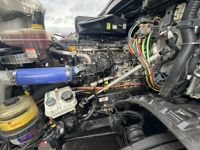 2022 Freightliner NEW CASCADIA PX12664