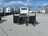 2020 International MV607