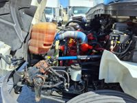 2019 International MV607