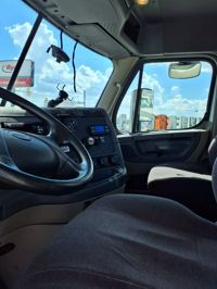 2019 Freightliner CASCADIA 113