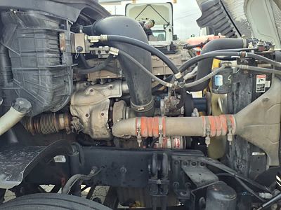 2019 Freightliner CASCADIA 125
