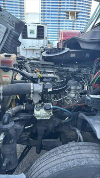 2019 Freightliner CASCADIA 125