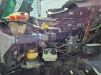 2020 Freightliner CASCADIA 125