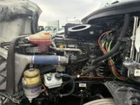 2020 Freightliner NEW CASCADIA PX12664