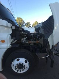 2019 Freightliner CASCADIA 125