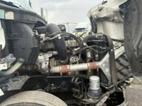 2020 Freightliner NEW CASCADIA PX12664