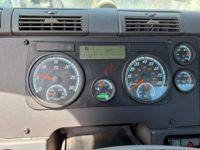 2019 Freightliner CASCADIA 113