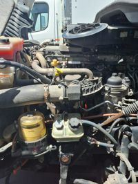 2019 Freightliner CASCADIA 125