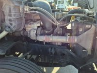 2019 Freightliner CASCADIA 125