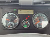 2019 Freightliner CASCADIA 113