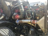 2019 Freightliner NEW CASCADIA PX12664