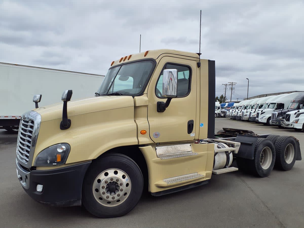 2019 Freightliner CASCADIA 125