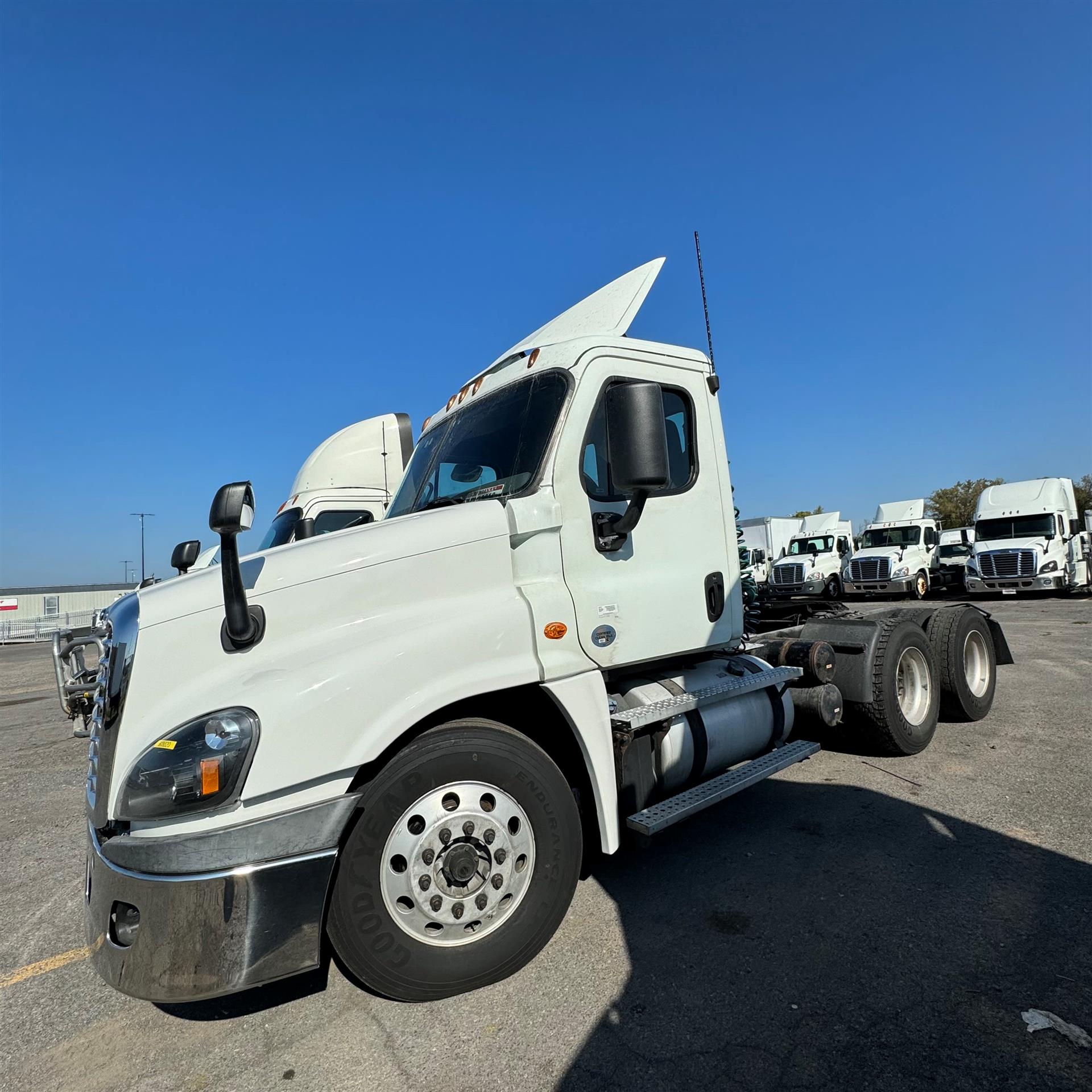 2019 Freightliner CASCADIA 125