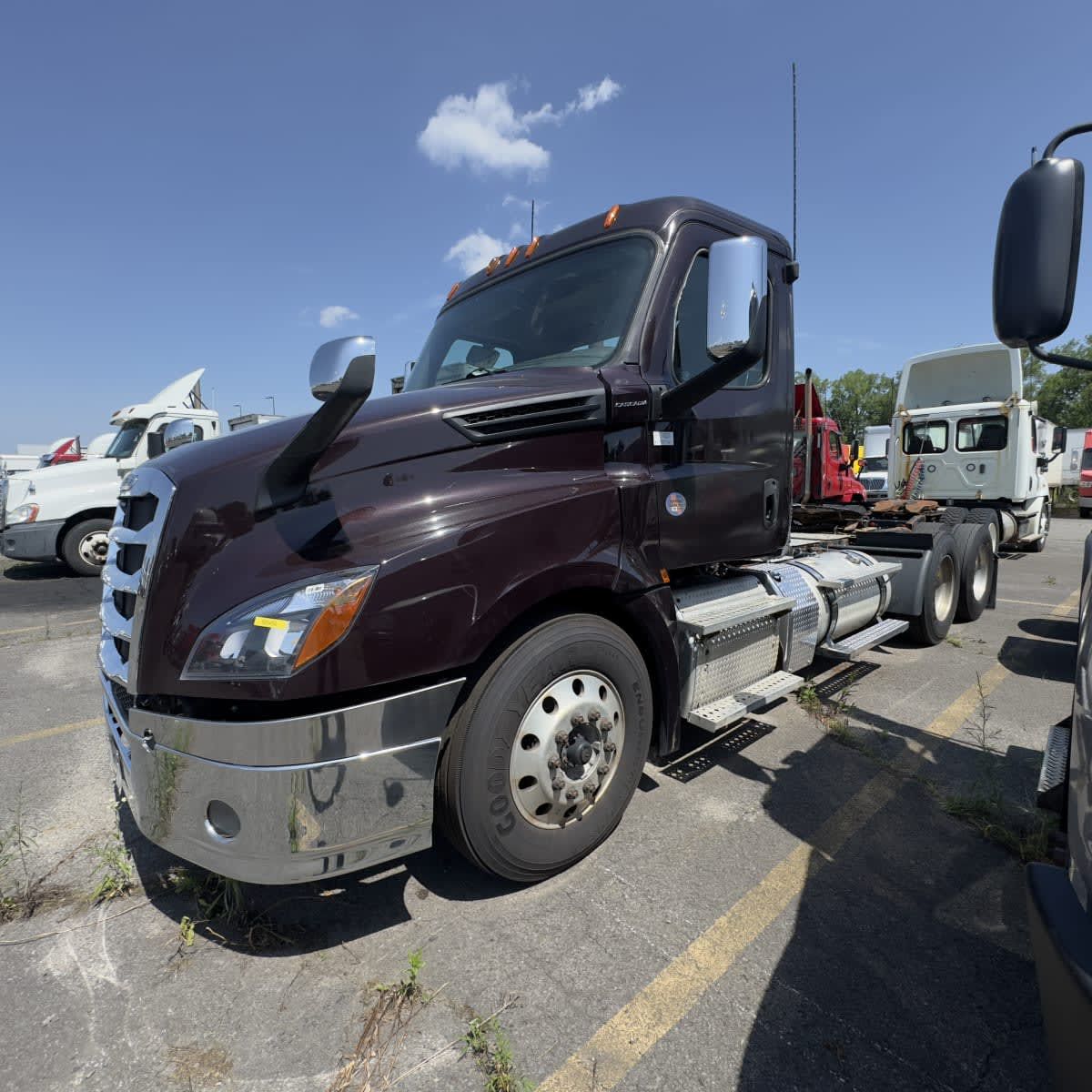2019 Freightliner NEW CASCADIA PX12664