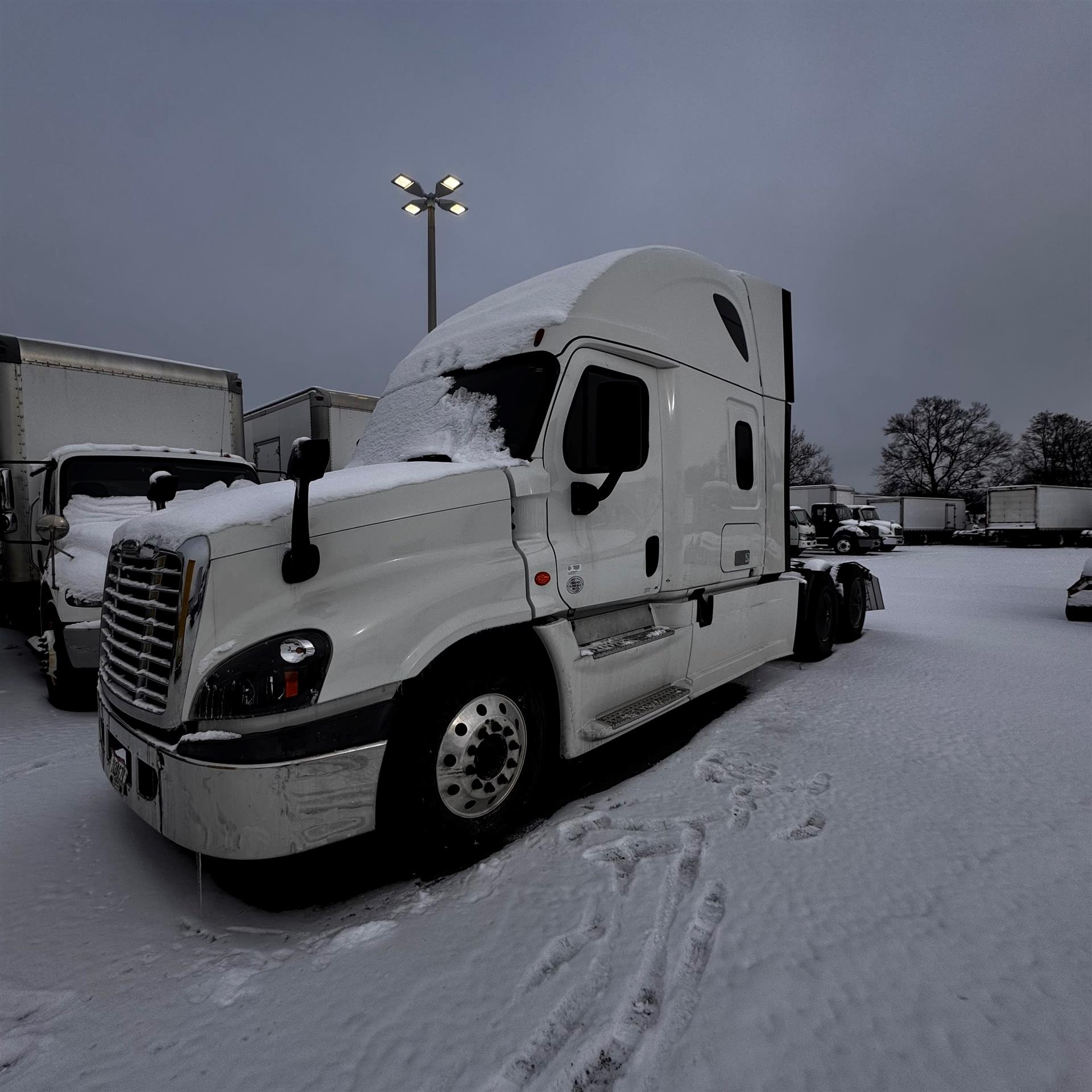 2019 Freightliner CASCADIA 125