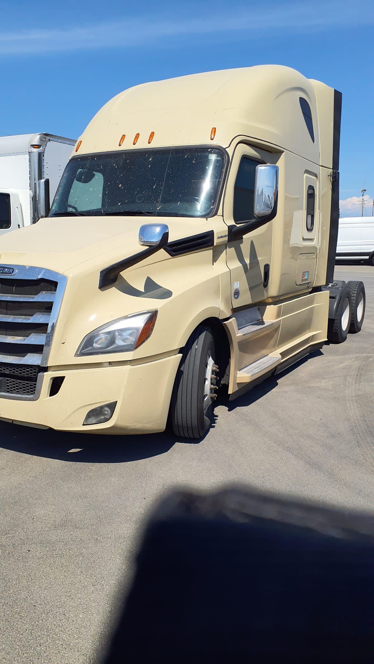 2019 Freightliner NEW CASCADIA PX12664