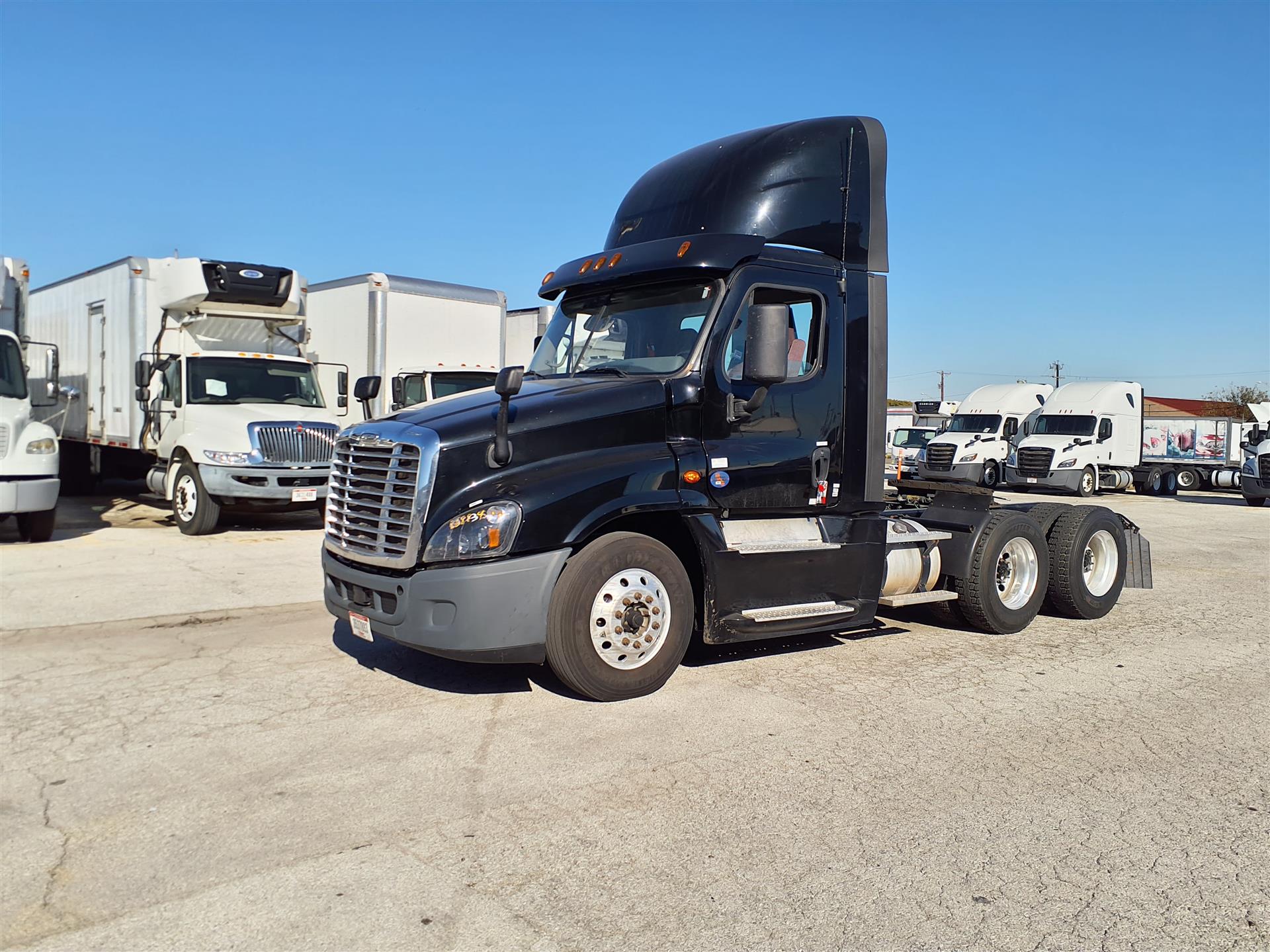 2019 Freightliner CASCADIA 125