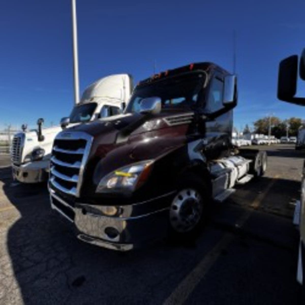 2019 Freightliner NEW CASCADIA PX12664