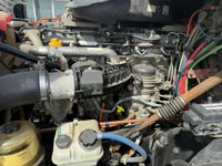 2019 Freightliner CASCADIA 125