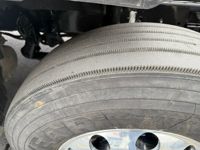 2019 Freightliner CASCADIA 125