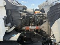 2020 Freightliner CASCADIA 113