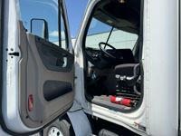 2020 Freightliner CASCADIA 113