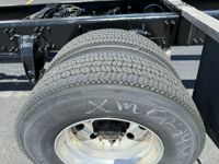 2020 Freightliner CASCADIA 113