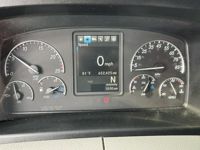 2020 Freightliner CASCADIA 126